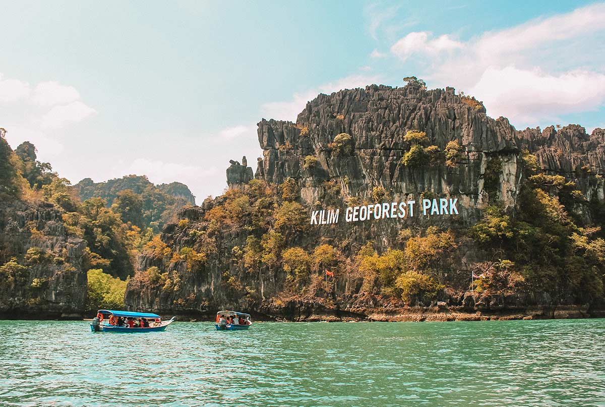 Jelajahi Ekosistem Mangrove Langkawi yang Menawan dengan Tur Mangrove